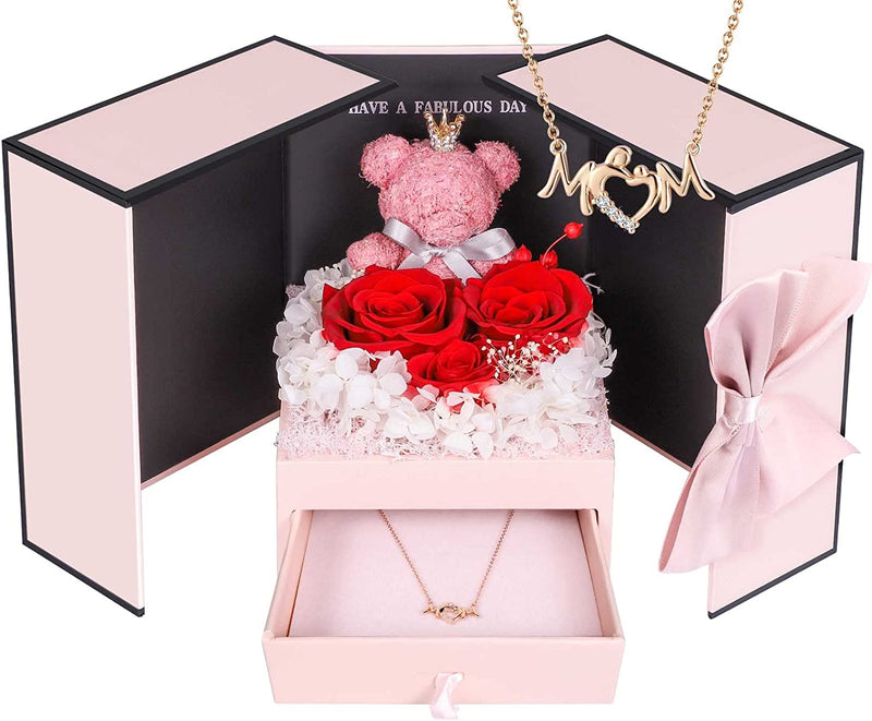 Cute Preserved Red Rose Moss Bear Gifts with Heart-Shaped I Love You Necklace 100 Languages for Mom Grandma Wife Girlfriend, Mothers Day Anniversary Birthday Gifts from Daughter Son Husband