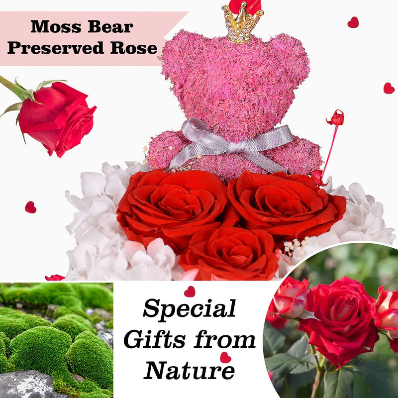 Preserved Rose Moss Bear with 100 I Love You Necklace Stocking Stuffers Gifts for Women Girlfriend Wife Mom Grandma Christmas Valentines Day Birthday Anniversary